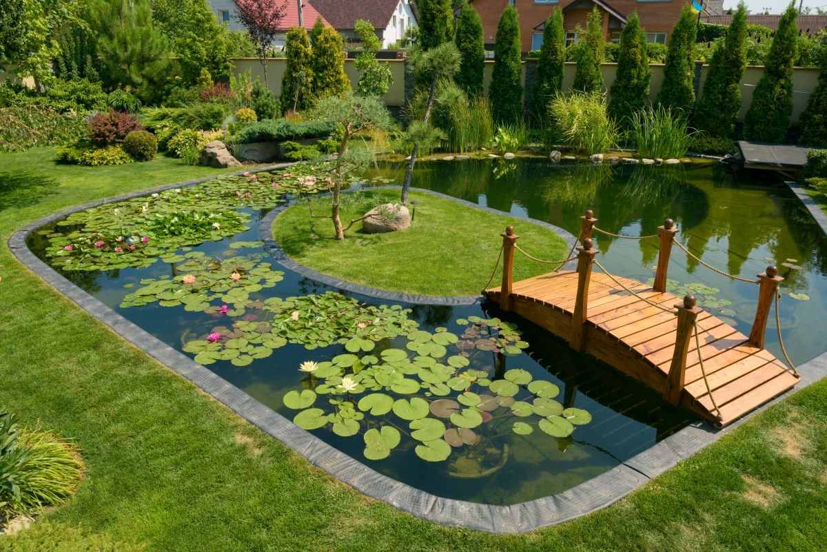 Der Gartenteich im Juli – was muss alles gemacht werden?
