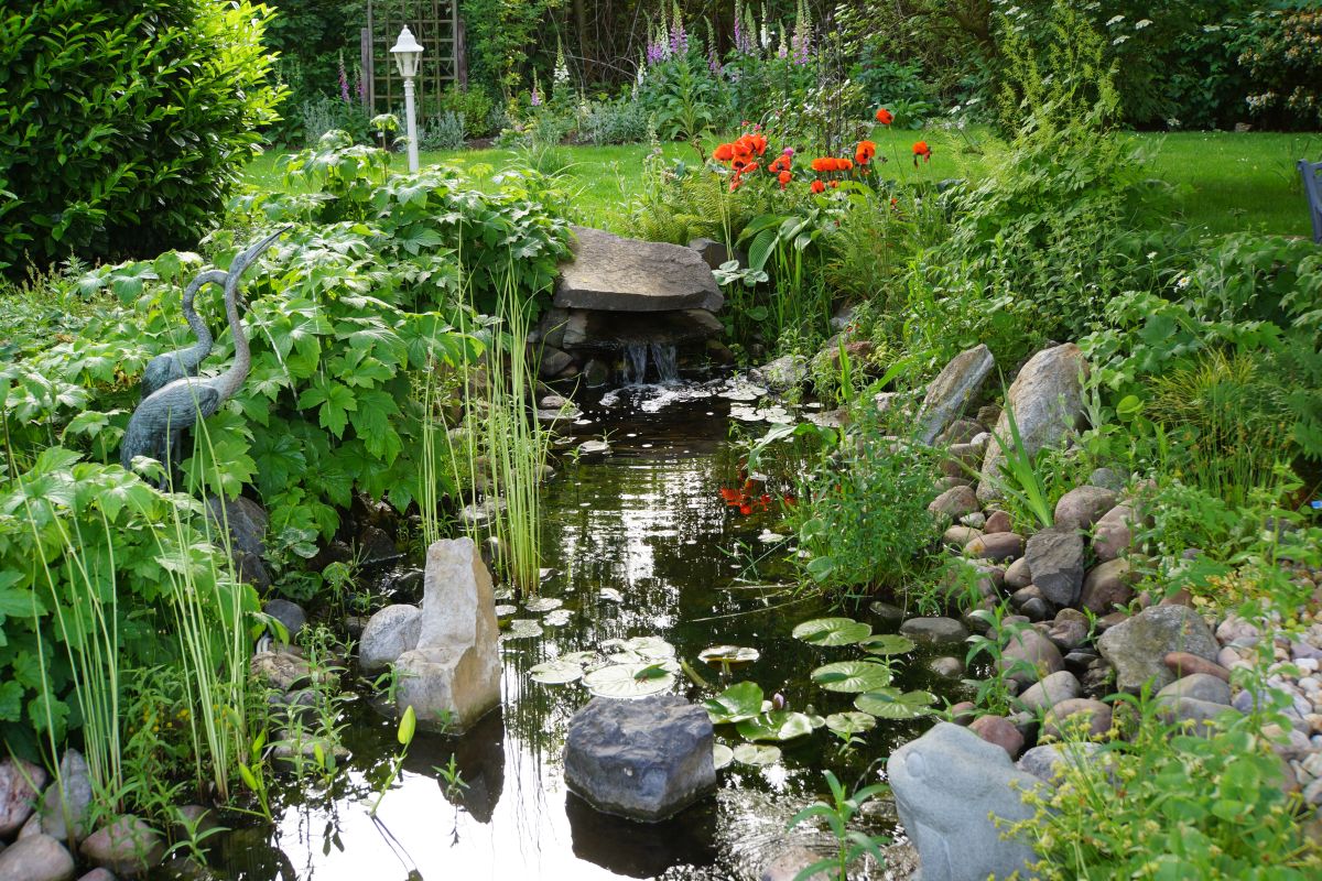 Wie Sie das Pflanzenwachstum in Ihrem Gartenteich ankurbeln können