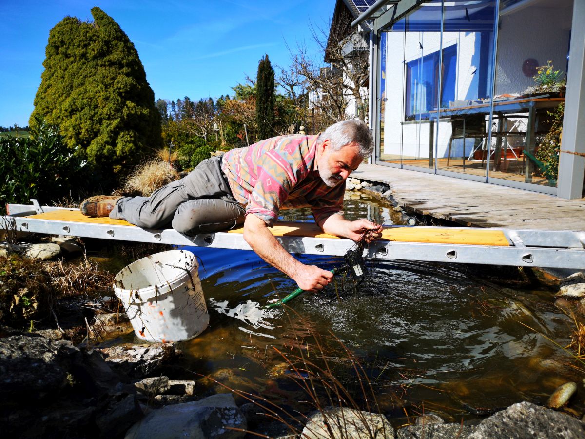 Checkliste Teichpflege März/April – Die wichtigsten Aufgaben für alle Teichtypen zum Saisonstart
