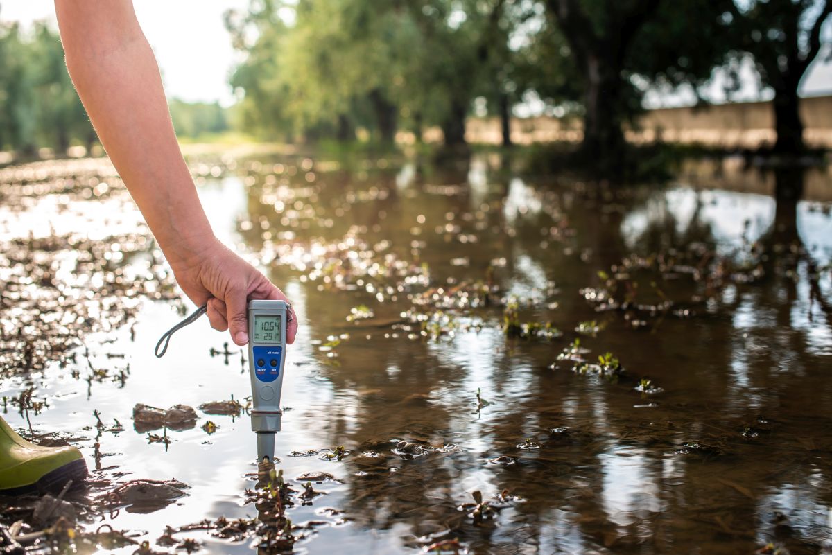 Wasserwerte im Gartenteich im Frühling messen – welche Werte wichtig sind